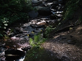 _2916730080