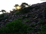 _0526762031