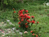 1 (19)
