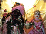 krishnaradha