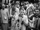 IMG_8294