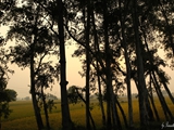 _0923038890